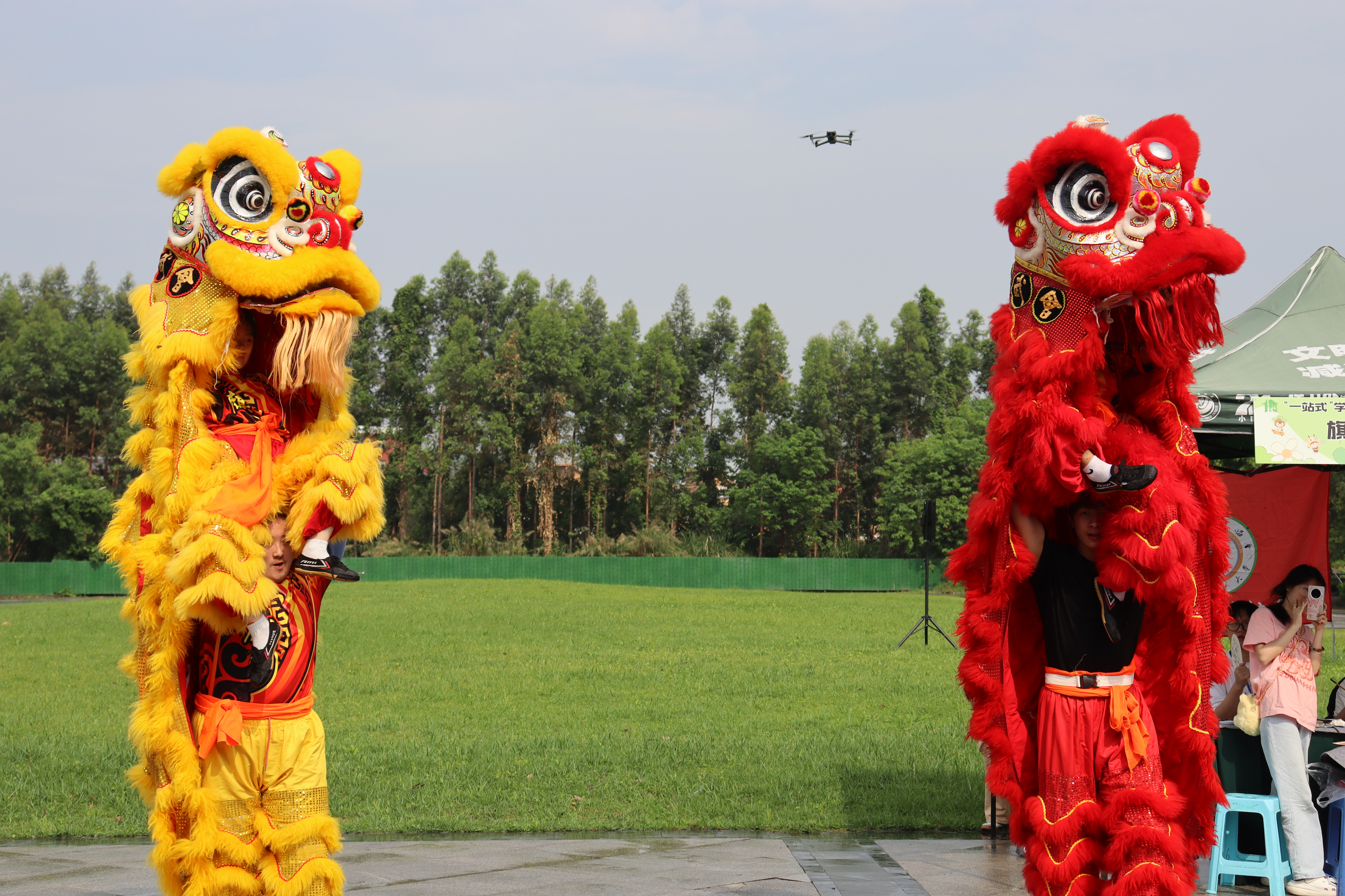 舞狮表演《雄狮飞舞展豪情》.JPG