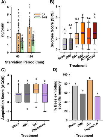 图3 多巴胺调控的食物欲望系统影响蜜蜂个体食欲反应和食欲相关的 学习记忆行为