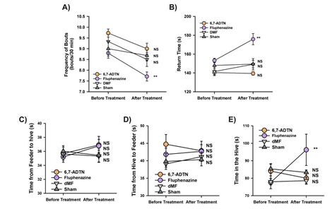 图2 蜜蜂多巴胺能信号药理学阻断对采集食物行为的影响