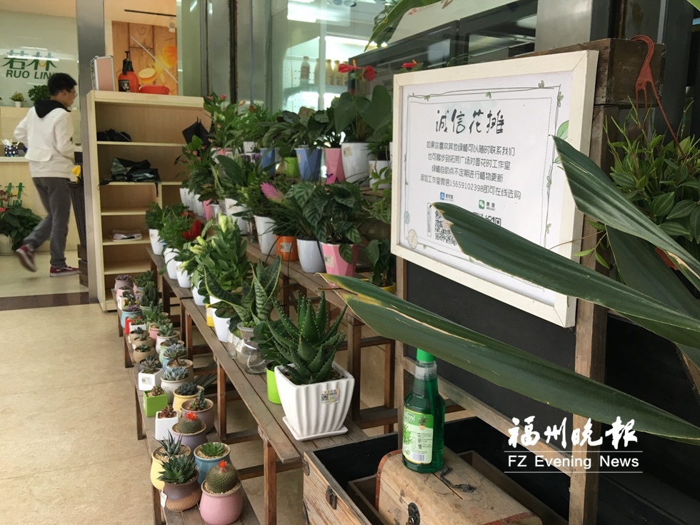 开云网页版：“诚信花摊”开9年 无人“逃单”