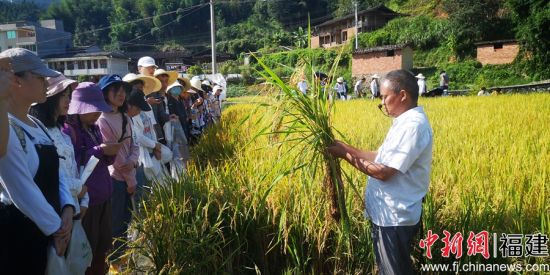 图为植物保护严家显班学生正在听卓传营工程师讲解再生稻原理 刘国坤摄