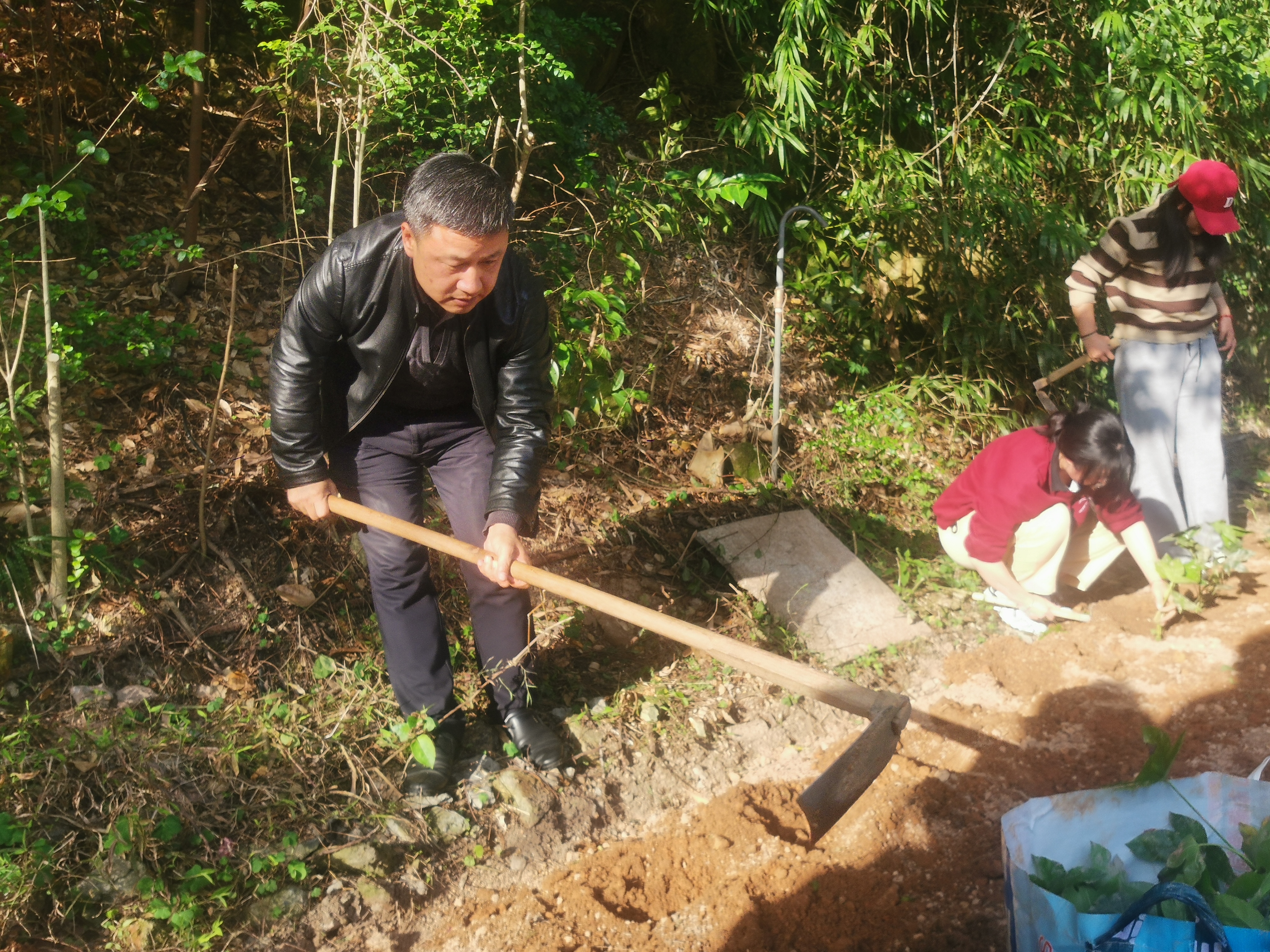 学院领导参与植树.jpg