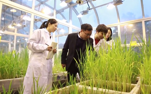 魏太云：聚焦强农兴农需求，传承...