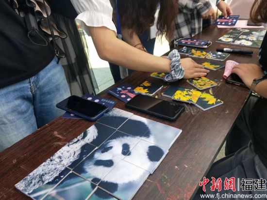 图为学生正在进行珍稀动物拼图游戏 温悦彤摄