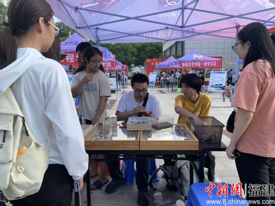 图为参观者听昆虫协会展区负责人讲解昆虫知识 张荣懿摄