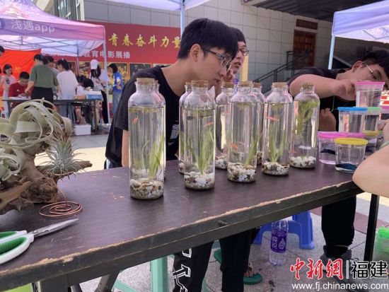 图为水族造景协会负责人向学生讲解生态瓶制作过程 张荣懿摄