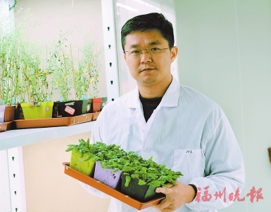 林文伟:世界性科学难题“解题人” 林文伟:世界性科学难题“解题人”