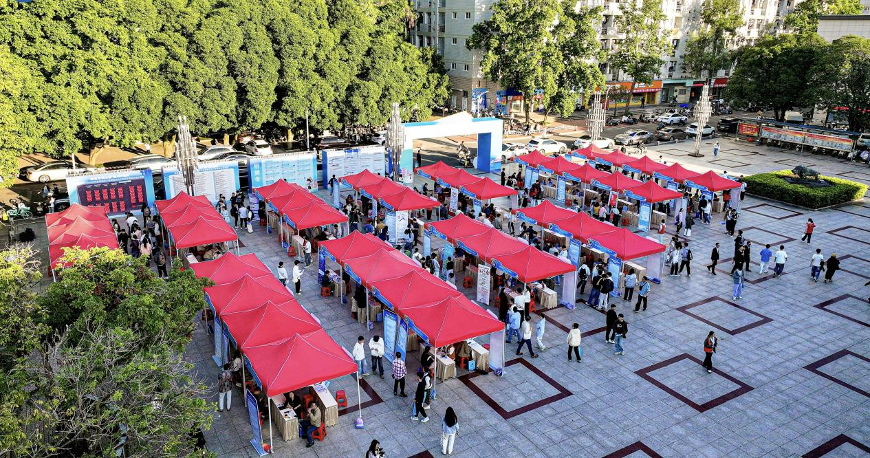 图片3.png 图片3.png