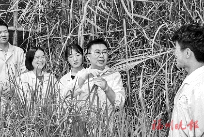 开云网页版科研成果上了国际顶级期刊